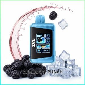 Blueberry Punch