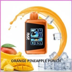 Raz DC25000 - Orange Pineapple Punch