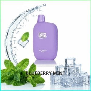 Flum Pebble - Blueberry Mint