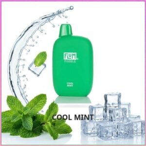 Flum Pebble - Menthol