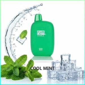 Flum Pebble - Cool Mint