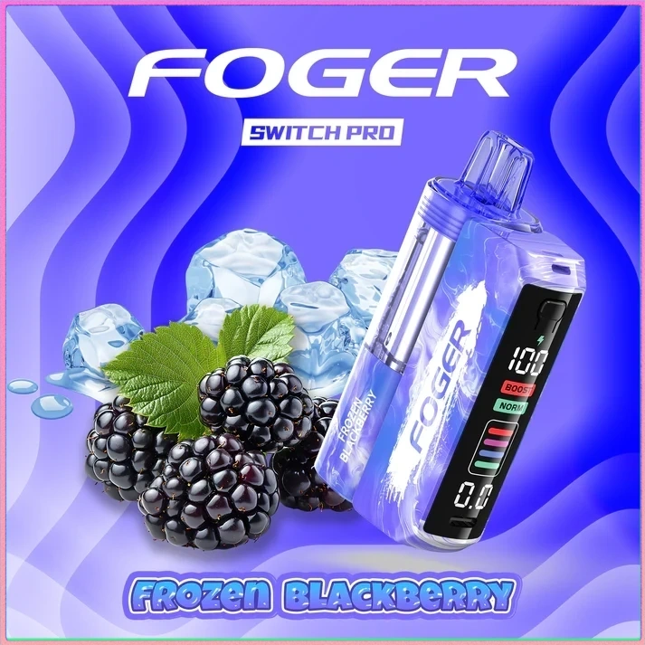 FROZEN-BLACKBERY Berry Bliss – Foger Switch Pro Kit | 30K Puffs