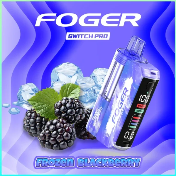 Frozen Blackberry – Foger Switch Pro Kit | 30K Puffs