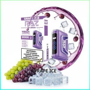 Raz TN9000 - Grape Ice