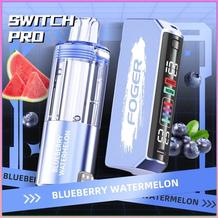 Blueberry Watermelon Foger Switch Pro Kit 30K Puffs