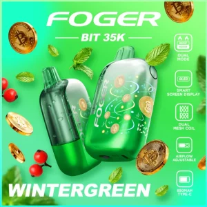 WinterGreen – Foger Bit 35K Puffs