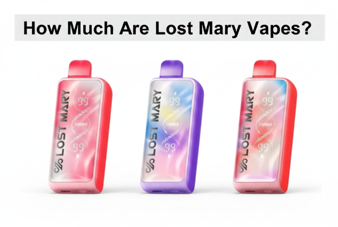 How Much Are Lost Mary Vapes?